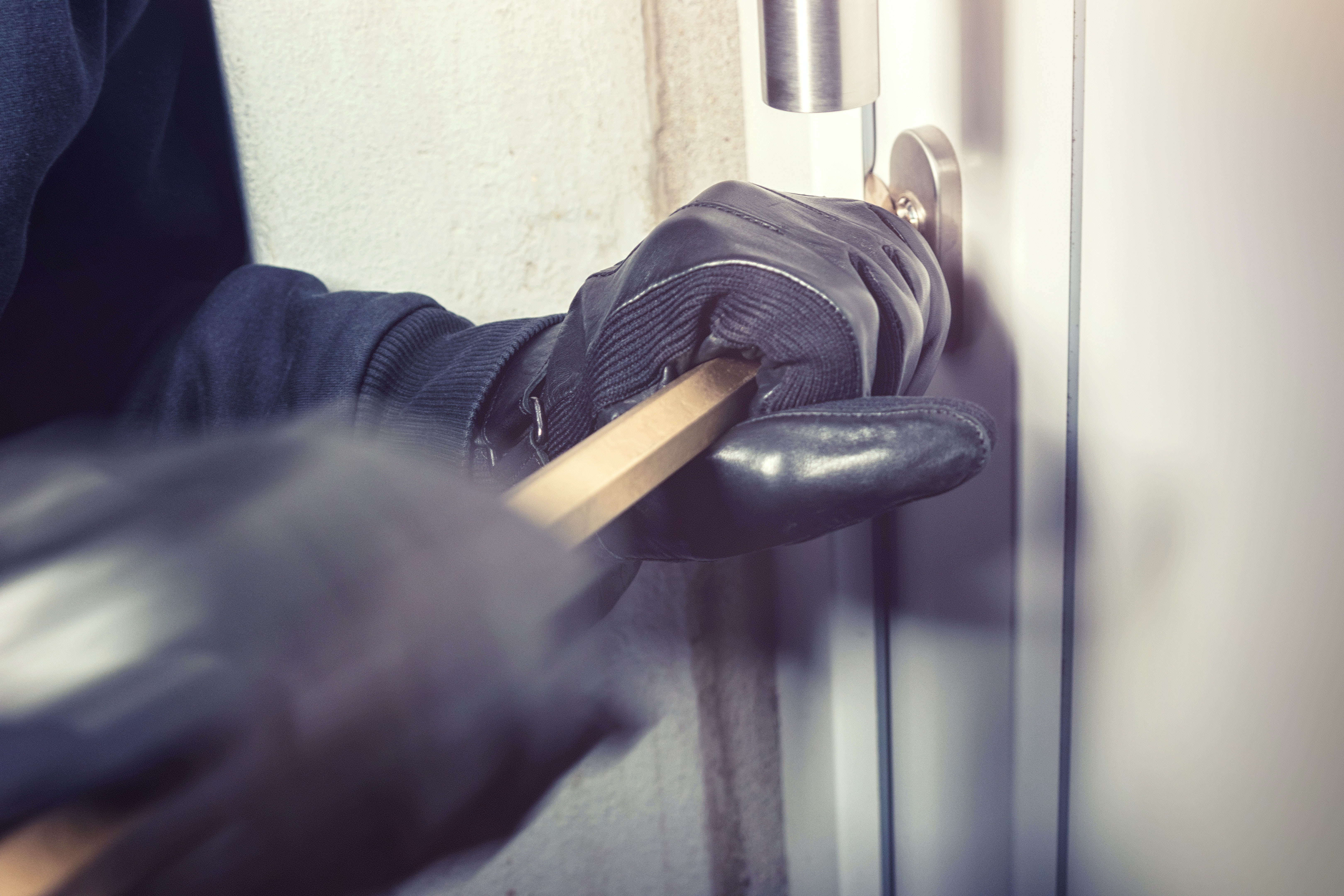 Cover Image for What is an Intrusion Detection System?